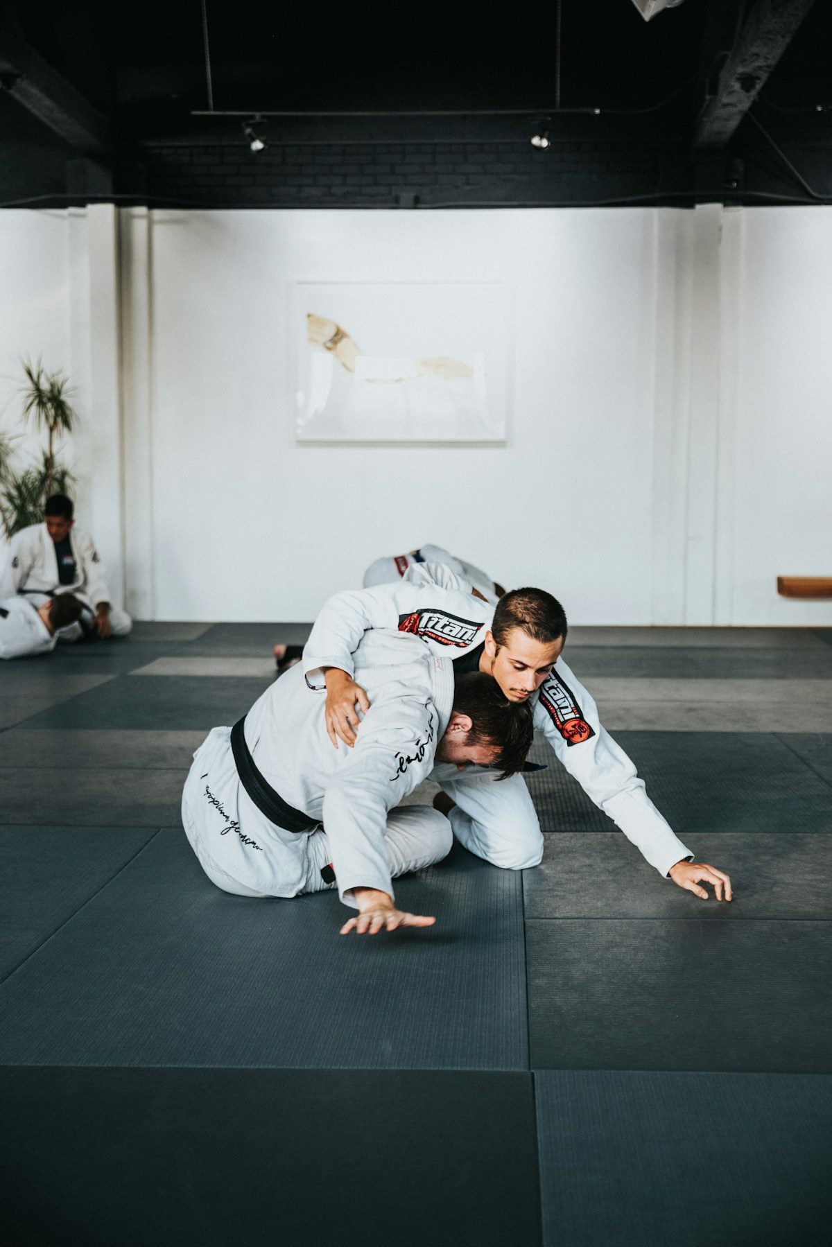 Jiu-jitsu concept on mobile
